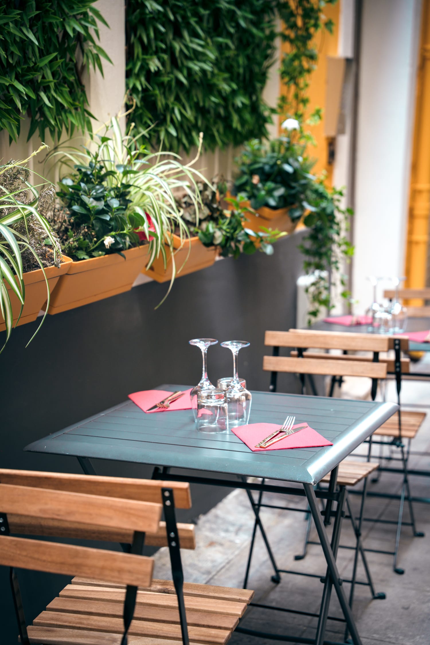 La terrasse du Bistrot du Fromager dans une ruelle du Vieux-Nice, tables et mur végétal